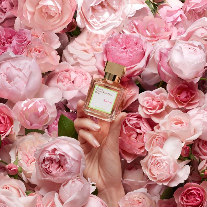 Hand holding a perfume bottle amidst pink roses, emphasizing floral fragrance and elegance.