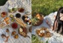 Plan a Memorable Spring Picnic with These Tips