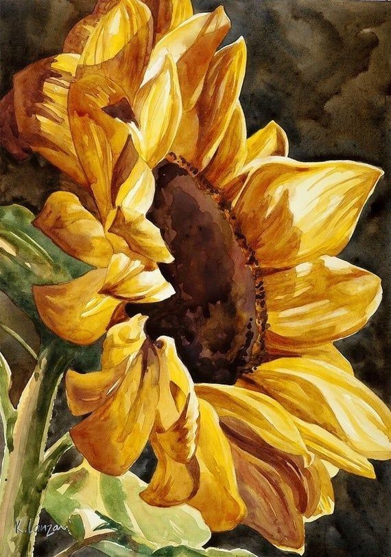 Watercolor painting of a vibrant sunflower with lush yellow petals against a dark background.