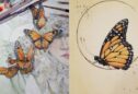 Butterfly Drawing Easy: 5 Simple Steps for Beautiful Results