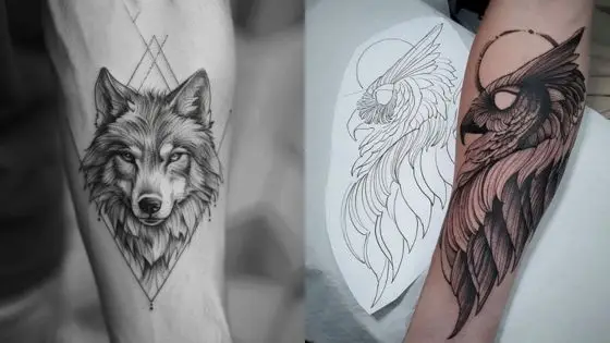 Viewing Deck Blog - 2025-03-28T171331319 Wolf and owl tattoos on arms, showcasing detailed line art and shading. | Sky Rye Design Wolf and owl tattoos on arms, showcasing detailed line art and shading.