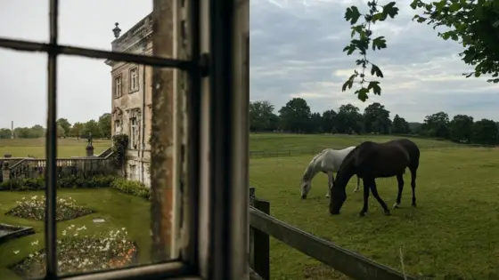 Viewing-Deck-Blog-3-12 Historic estate garden view and grazing horses in a lush field under an overcast sky. | Sky Rye Design Historic estate garden view and grazing horses in a lush field under an overcast sky.