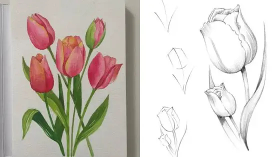 Viewing Deck Blog 38 Illustration of tulips in watercolor and pencil sketches, showcasing detailed art techniques and floral designs. | Sky Rye Design Illustration of tulips in watercolor and pencil sketches, showcasing detailed art techniques and floral designs.