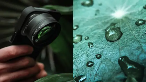 Viewing Deck Blog25 Macro lens capturing water droplets on a green leaf, showcasing nature photography details. | Sky Rye Design Macro lens capturing water droplets on a green leaf, showcasing nature photography details.