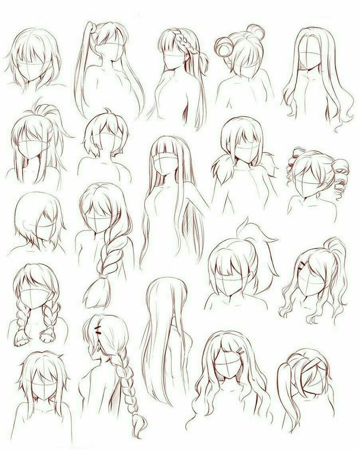 Anime hair sketch styles: 20 unique designs showing various braids, buns, and ponytails. Perfect for character inspiration.