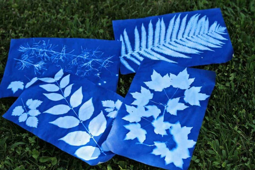 Four leaf cyanotype prints on grass, showcasing botanical art in blue and white silhouettes.