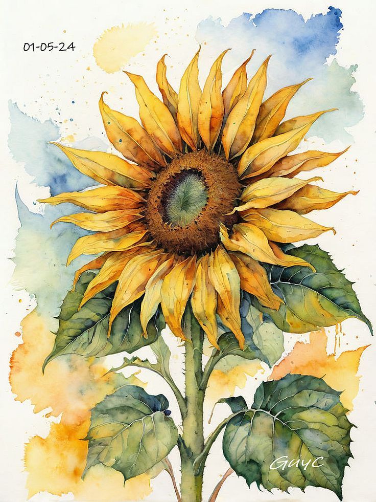 Watercolor sunflower with vibrant yellow petals and green leaves against a colorful background. Date: 01-05-24.