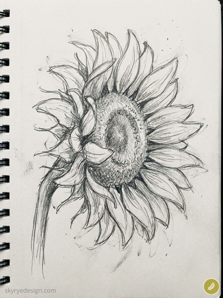 Pencil sketch sunflower in a spiral sketchbook — detailed hand-drawn black-and-white botanical illustration