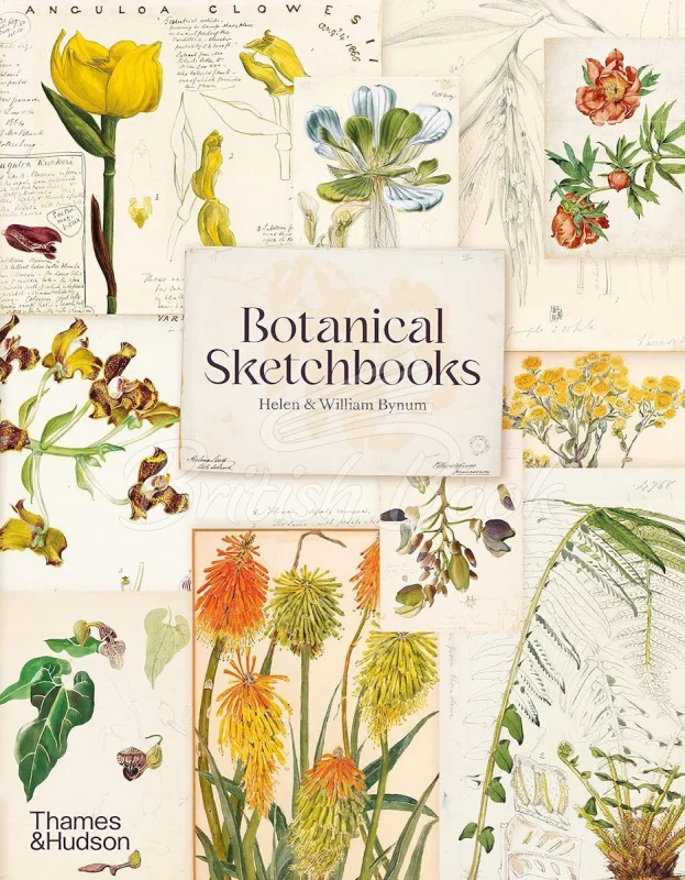Botanical Sketchbooks book cover — collage of vintage plant illustrations by Helen & William Bynum
