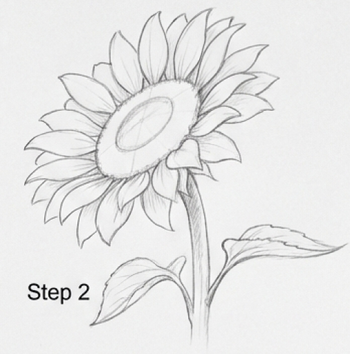 Pencil sketch of a sunflower with stem and leaves labeled Step 2 — drawing tutorial.