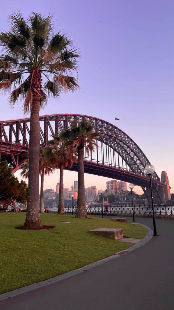 Sydney Harbour Bridge at sunset with palm trees and city skyline.