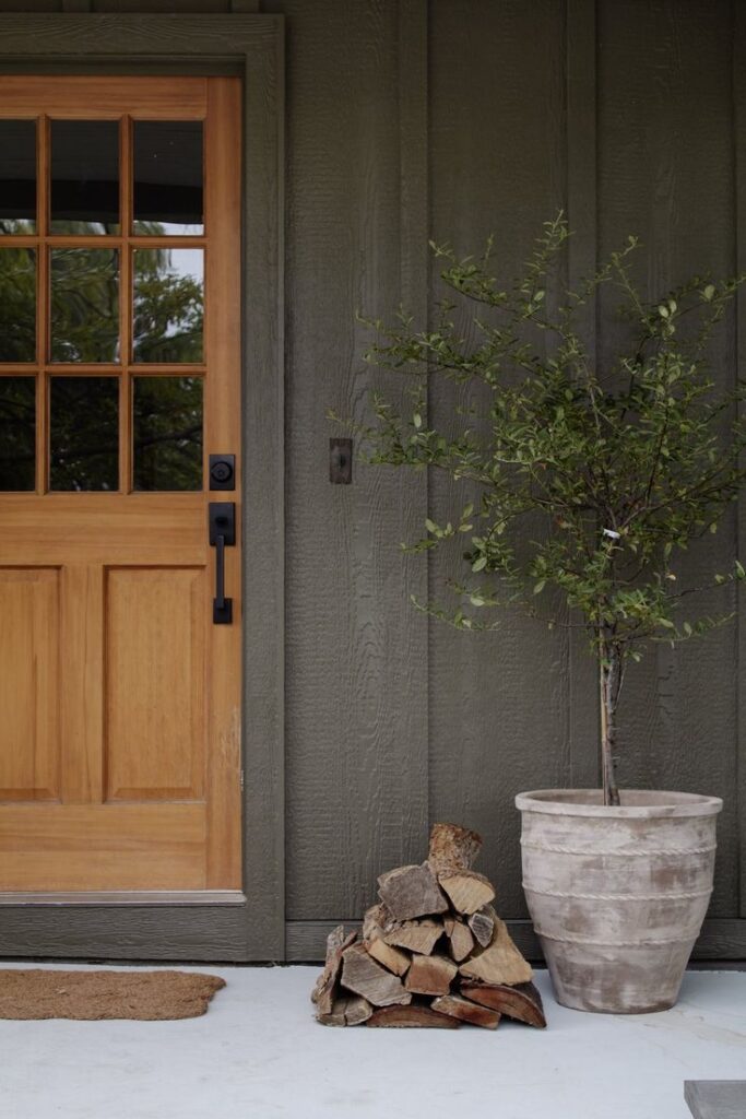 Wooden door with a black handle beside a potted plant and firewood stack on a porch.