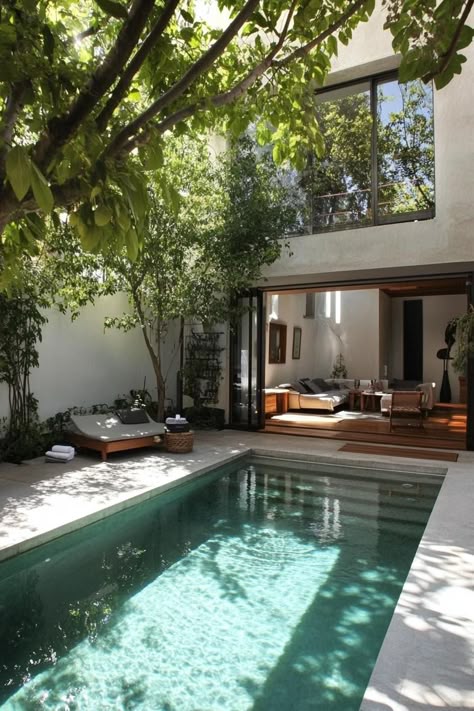 Modern backyard with a luxurious plunge pool, surrounded by greenery and an inviting seating area.