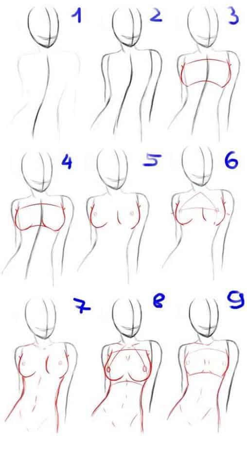 Step-by-step guide to drawing a female torso, showing development from sketch to detailed form in nine stages.