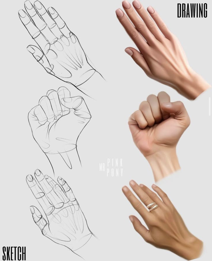 Hand drawings and digital illustrations comparison, featuring open hands and fists. Sketches on the left, realistic renderings on the right.