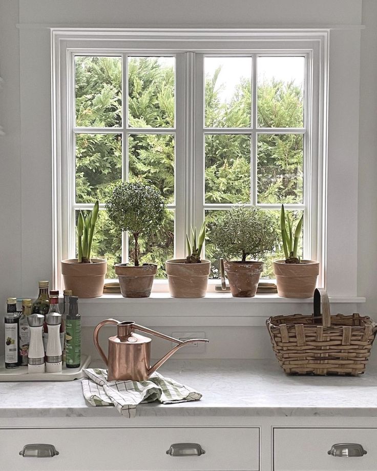 Kitchen window ledge with potted plants, copper watering can, and wicker basket on marble countertop.
