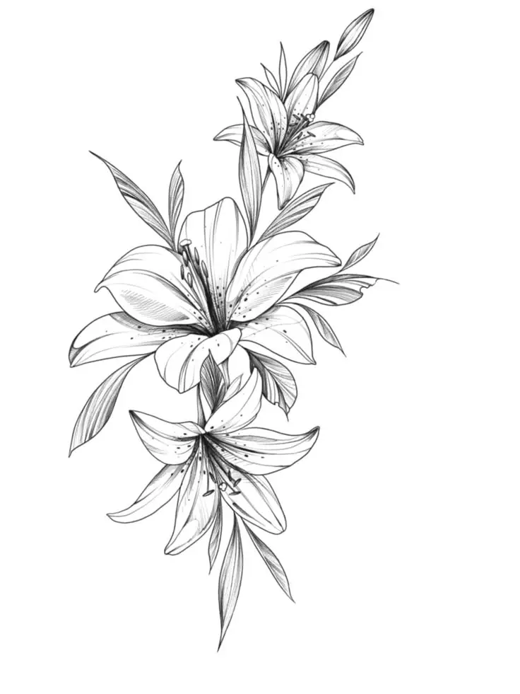 Black and white sketch of blooming lilies with detailed petals and leaves on a white background.