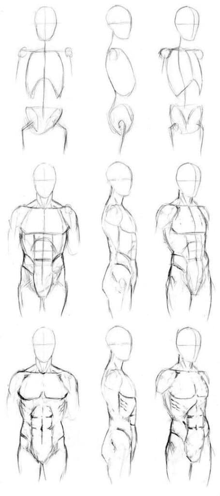 Step-by-step guide to drawing a male torso from different angles with emphasis on anatomical structure.