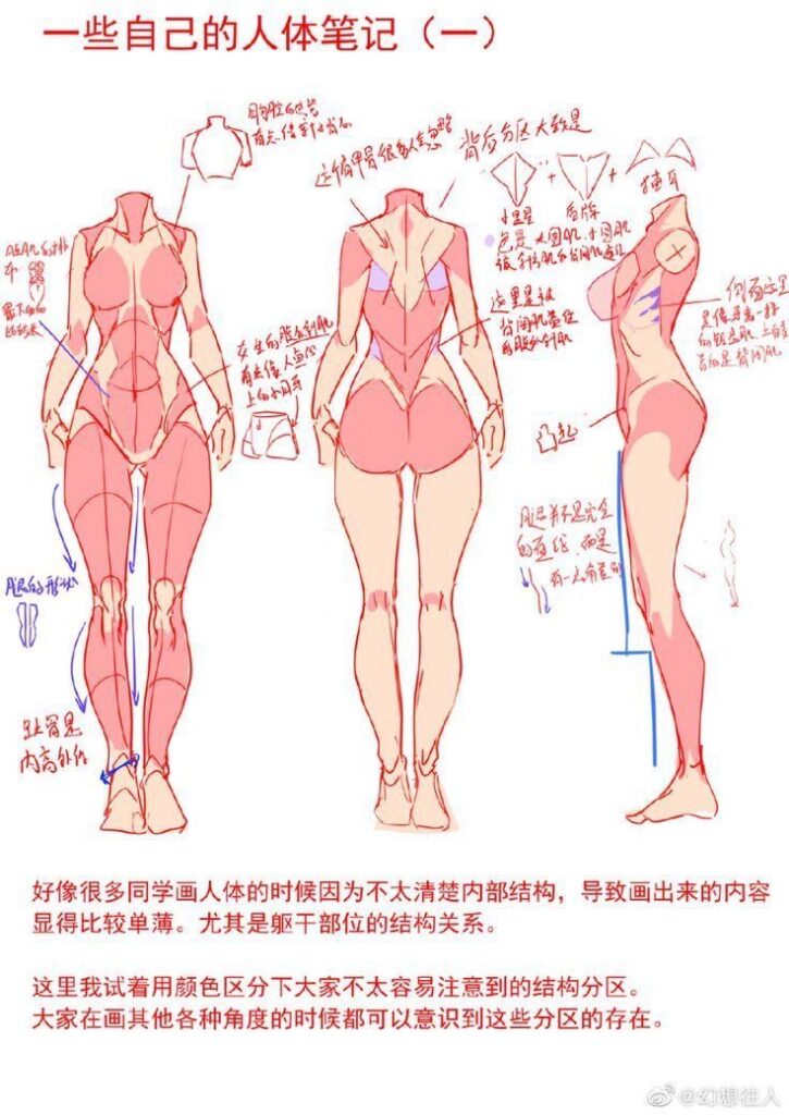 Anatomy-drawing-of-girl Illustration of human body anatomy notes in Chinese, with sketches of front, back, and side views highlighting muscle structure. | Sky Rye Design Illustration of human body anatomy notes in Chinese, with sketches of front, back, and side views highlighting muscle structure.