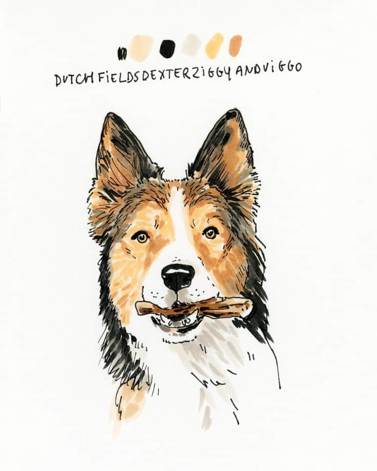 Illustration of a dog with a bone in its mouth, featuring color swatches and names above.
