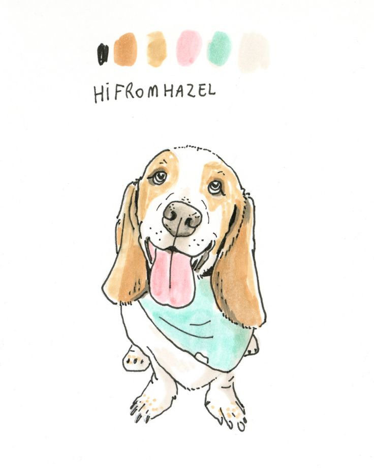 Illustration of a happy dog named Hazel with tongue out, wearing a blue shirt. Color palette included at the top.