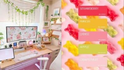 Cute pastel-themed desk setup with floral wallpaper and a colorful gummy bear flavor chart.