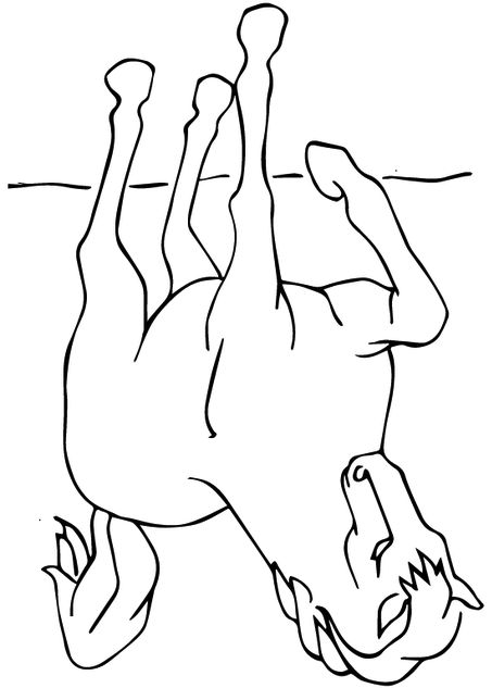Abstract outline of a horse lying on its back, legs raised, against a plain background.