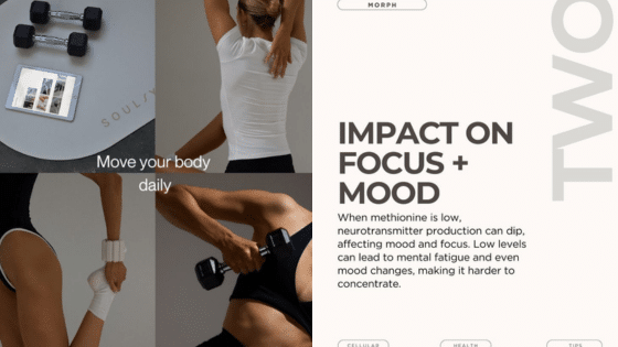 Viewing Deck Blog 1 Exercise impact on focus and mood with dumbbells and yoga mat, promoting daily movement for mental well-being. | Sky Rye Design Exercise impact on focus and mood with dumbbells and yoga mat, promoting daily movement for mental well-being.