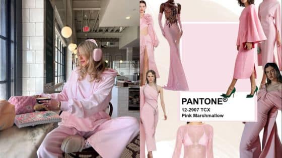 Viewing Deck Blog 11 Woman in pink loungewear with laptop beside Pantone Pink Marshmallow fashion collage. | Sky Rye Design Woman in pink loungewear with laptop beside Pantone Pink Marshmallow fashion collage.