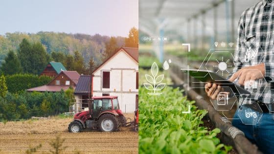 Viewing Deck Blog-3 A tractor on a farm and a person using a tablet in a greenhouse, showcasing traditional and smart farming technologies. | Sky Rye Design A tractor on a farm and a person using a tablet in a greenhouse, showcasing traditional and smart farming technologies.