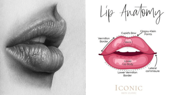 Viewing Deck Blog 5 | Sky Rye Design