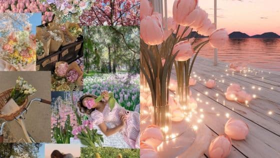 Viewing Deck Blog 65 Collage of spring flowers and serene waterside scene with tulips and sunset, evoking peaceful, romantic vibes. | Sky Rye Design Collage of spring flowers and serene waterside scene with tulips and sunset, evoking peaceful, romantic vibes.