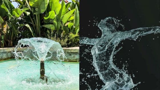 Viewing Deck Blog-8 Water fountain in a garden with lush green plants and abstract water sculpture on dark background. | Sky Rye Design Water fountain in a garden with lush green plants and abstract water sculpture on dark background.