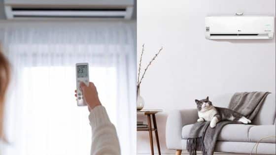 Viewing Deck Blog 8 Remote-controlled air conditioner cooling room with a relaxed cat on sofa. | Sky Rye Design Remote-controlled air conditioner cooling room with a relaxed cat on sofa.