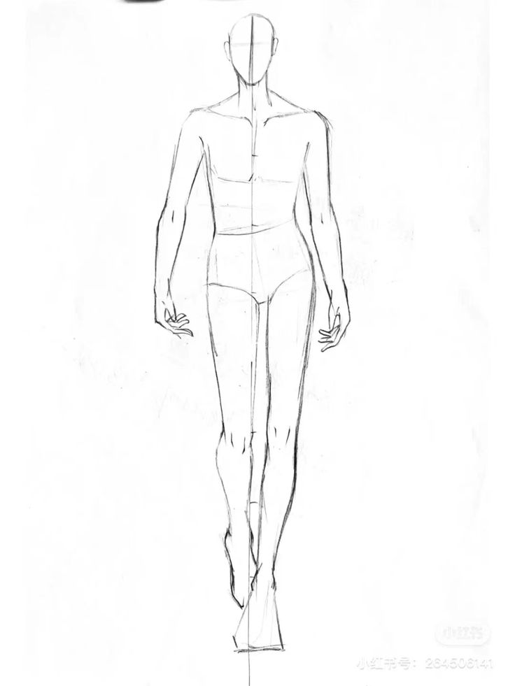 Sketch of a human figure in a front view, showcasing basic proportions and anatomy for drawing reference.