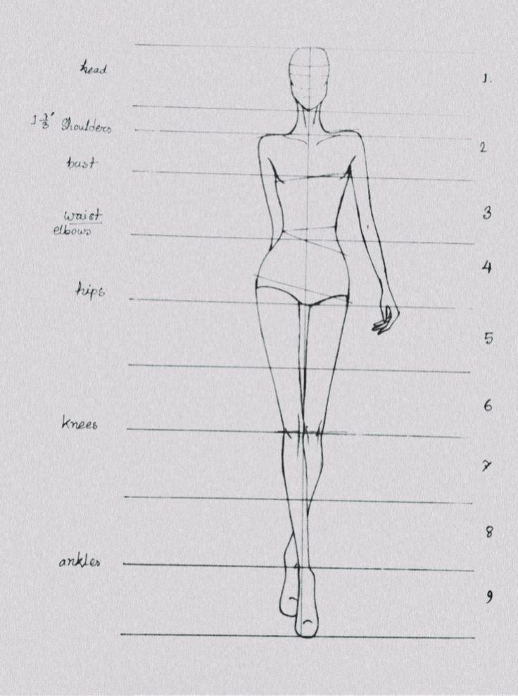 Fashion croquis diagram showing female figure proportions for design sketches, highlighting key body measurements.
