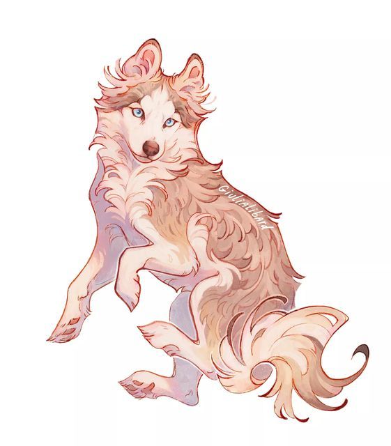Illustrated fluffy dog with blue eyes and bushy tail in a playful pose on a white background.