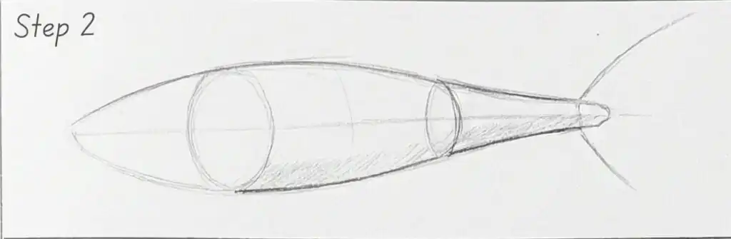 Step 2: pencil drawing tutorial showing basic fish body construction with overlapping cylinders, centerline and tail guide lines.