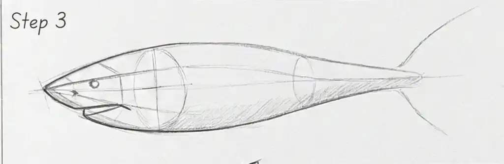 Step 3 pencil fish drawing tutorial showing construction circles, head/jaw details and elongated body outline - how to draw a fish guide