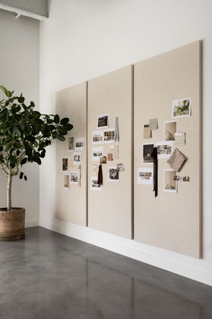 Minimalist mood board with art and photos on neutral panels beside an indoor potted tree in a modern, clean space.