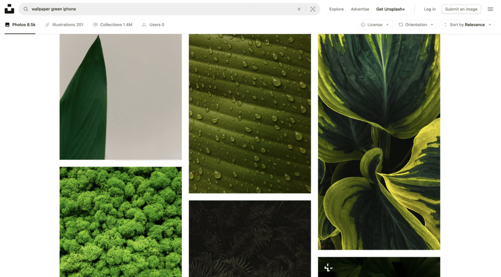 Снимок экрана 2025-05-11 в 224047 Collage of green foliage textures: leaf close-ups with water droplets, vibrant moss, and variegated leaves. Perfect iPhone wallpaper. | Sky Rye Design Collage of green foliage textures: leaf close-ups with water droplets, vibrant moss, and variegated leaves. Perfect iPhone wallpaper.