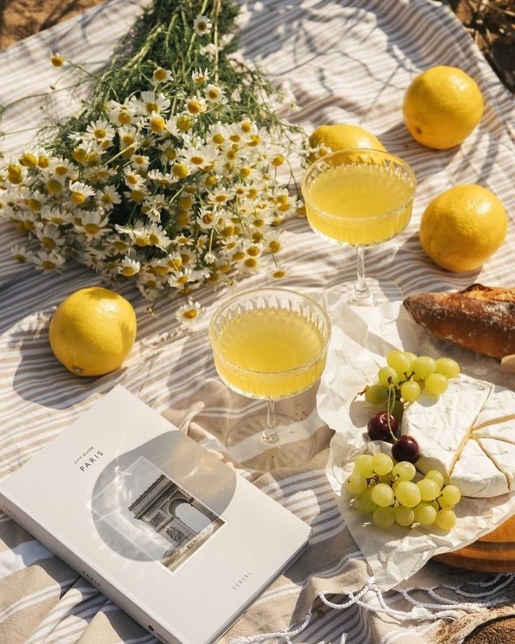 🌼🦊🍋 Outdoor picnic with fresh lemons, daisies, white wine, grapes, cheese, and a Paris guidebook on a striped blanket. | Sky Rye Design Outdoor picnic with fresh lemons, daisies, white wine, grapes, cheese, and a Paris guidebook on a striped blanket.