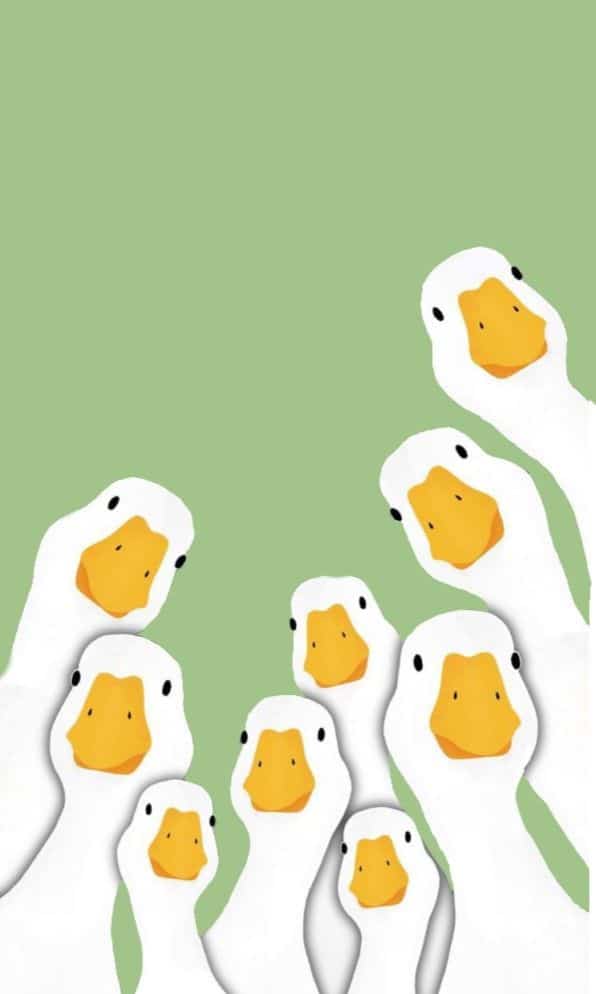 Illustration of curious white geese with yellow beaks against a green background.