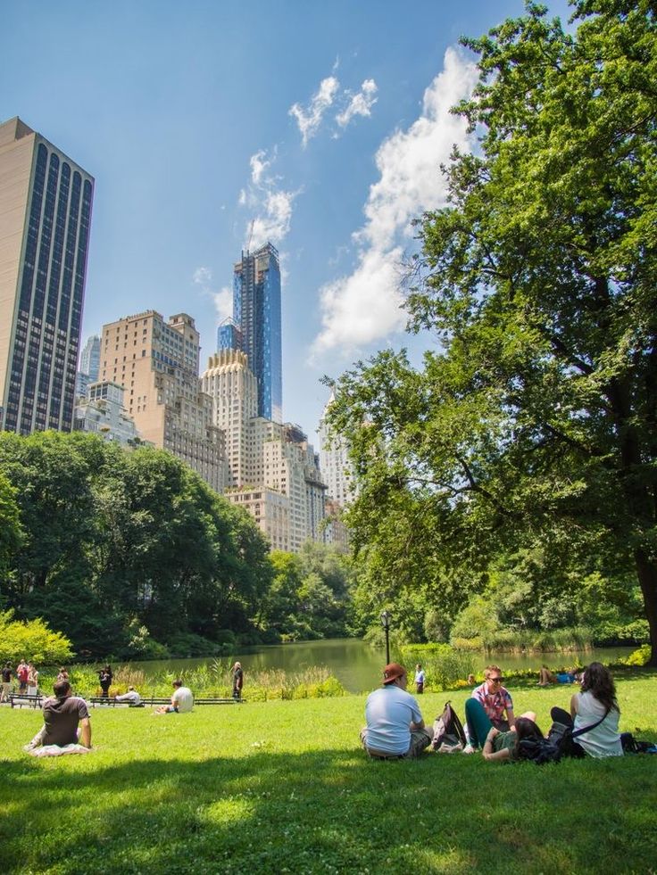 People relaxing in a sunny park with a city skyline and skyscrapers in the background.