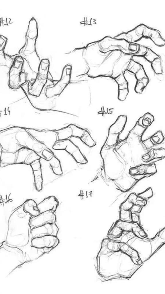 Hand sketch poses in various positions, illustrated with numbered labels from 12 to 17 on white background.