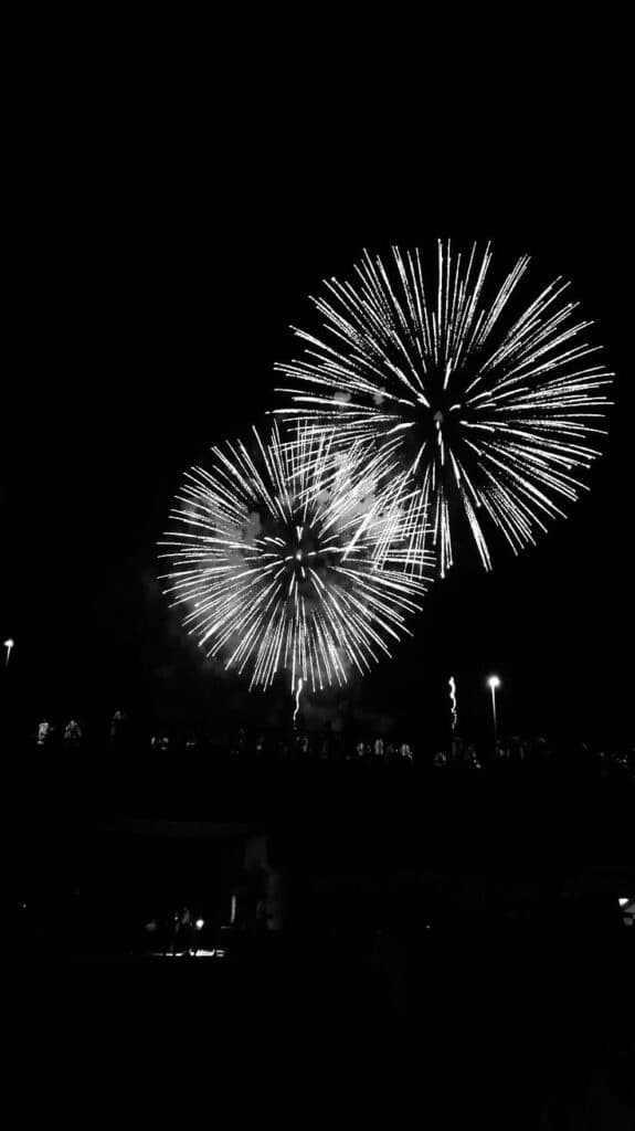 Black and white fireworks display illuminating the night sky above silhouetted crowd.