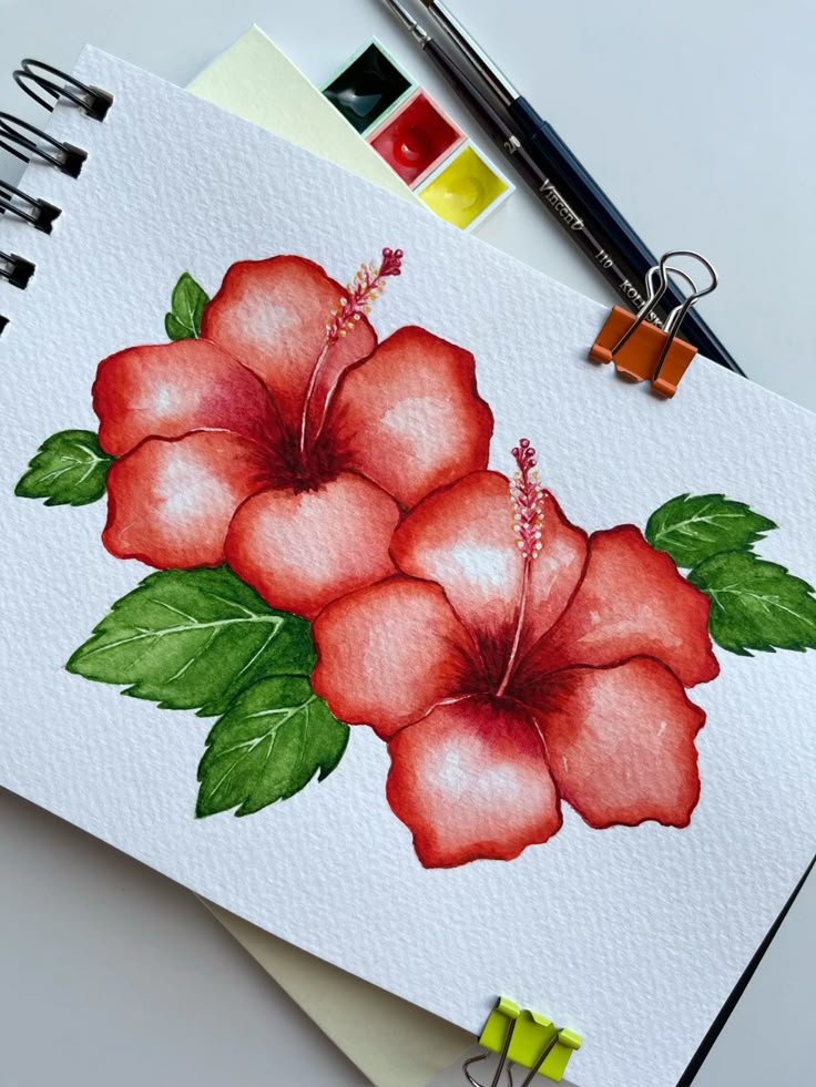 14998f82-a98c-4aa0-9ab7-3c5b0a50dd56 Watercolor painting of two red hibiscus flowers with green leaves, displayed on art paper with paint and brushes nearby. | Sky Rye Design Watercolor painting of two red hibiscus flowers with green leaves, displayed on art paper with paint and brushes nearby.