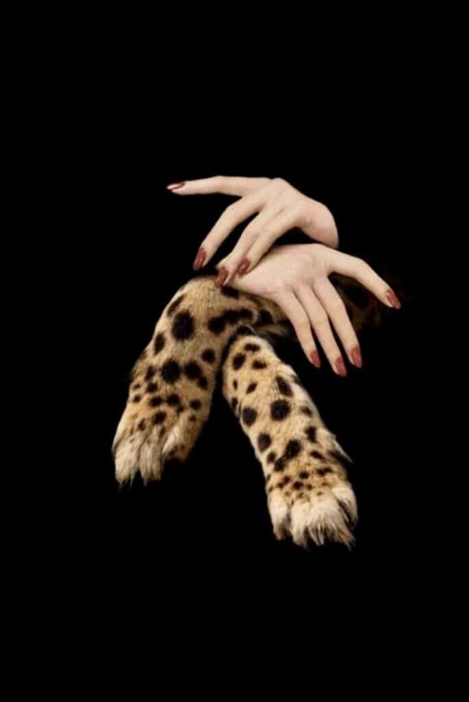 Surreal art: human hands with red nails and spotted animal legs on a black background.