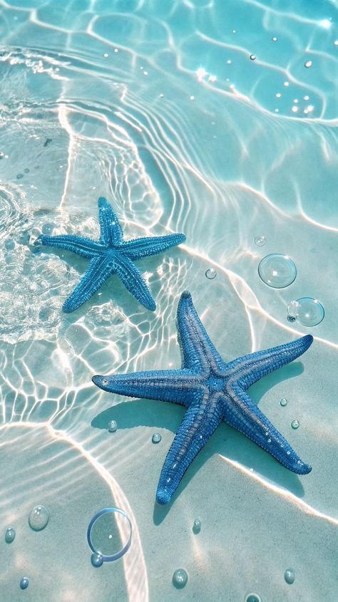 Two blue starfish underwater, on a sandy ocean floor, with sunlight creating shimmering patterns above.