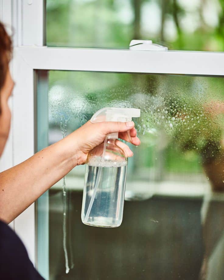 Person cleaning a window with a spray bottle, showing clear glass and vibrant outdoor greenery.